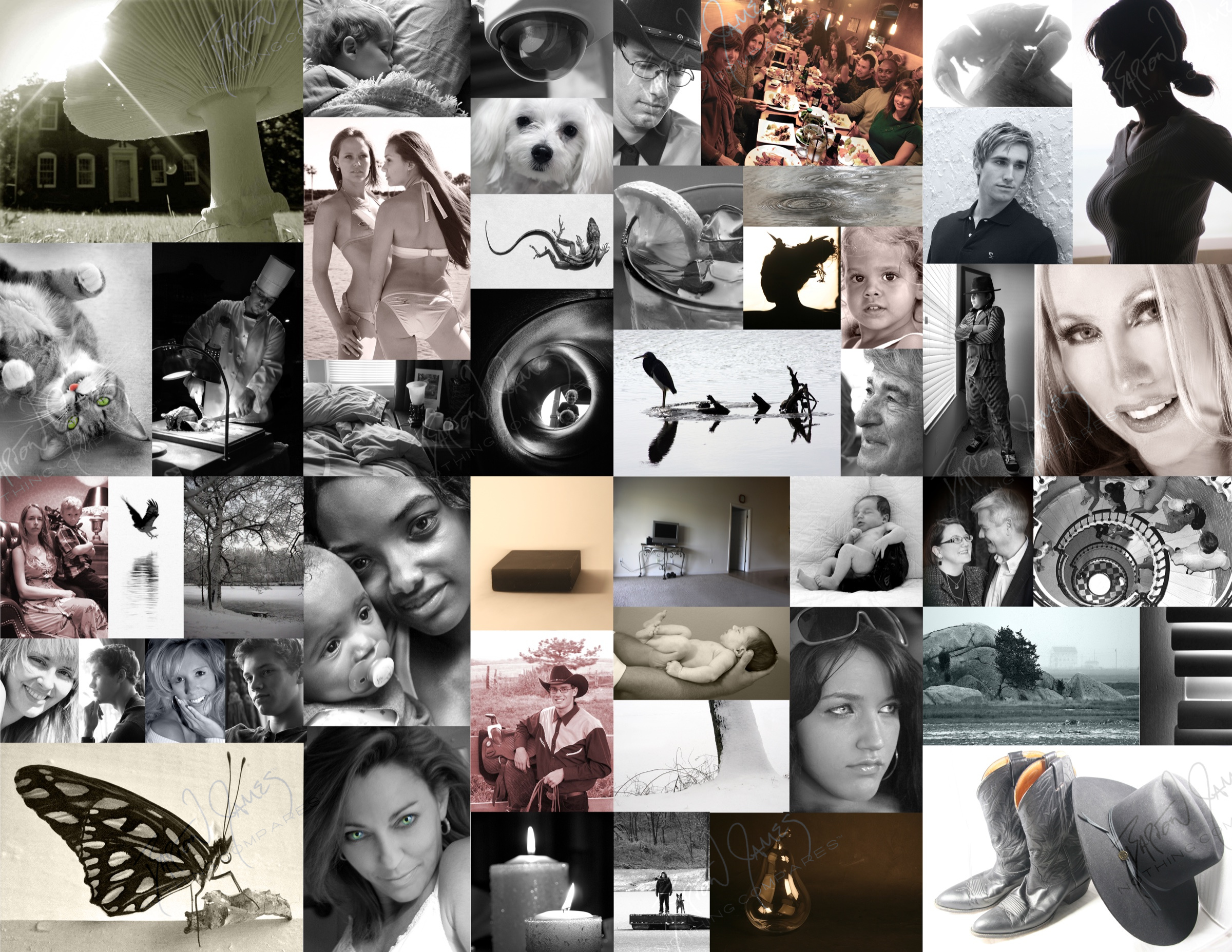 D1 Black White: a collage of the work in this chapter