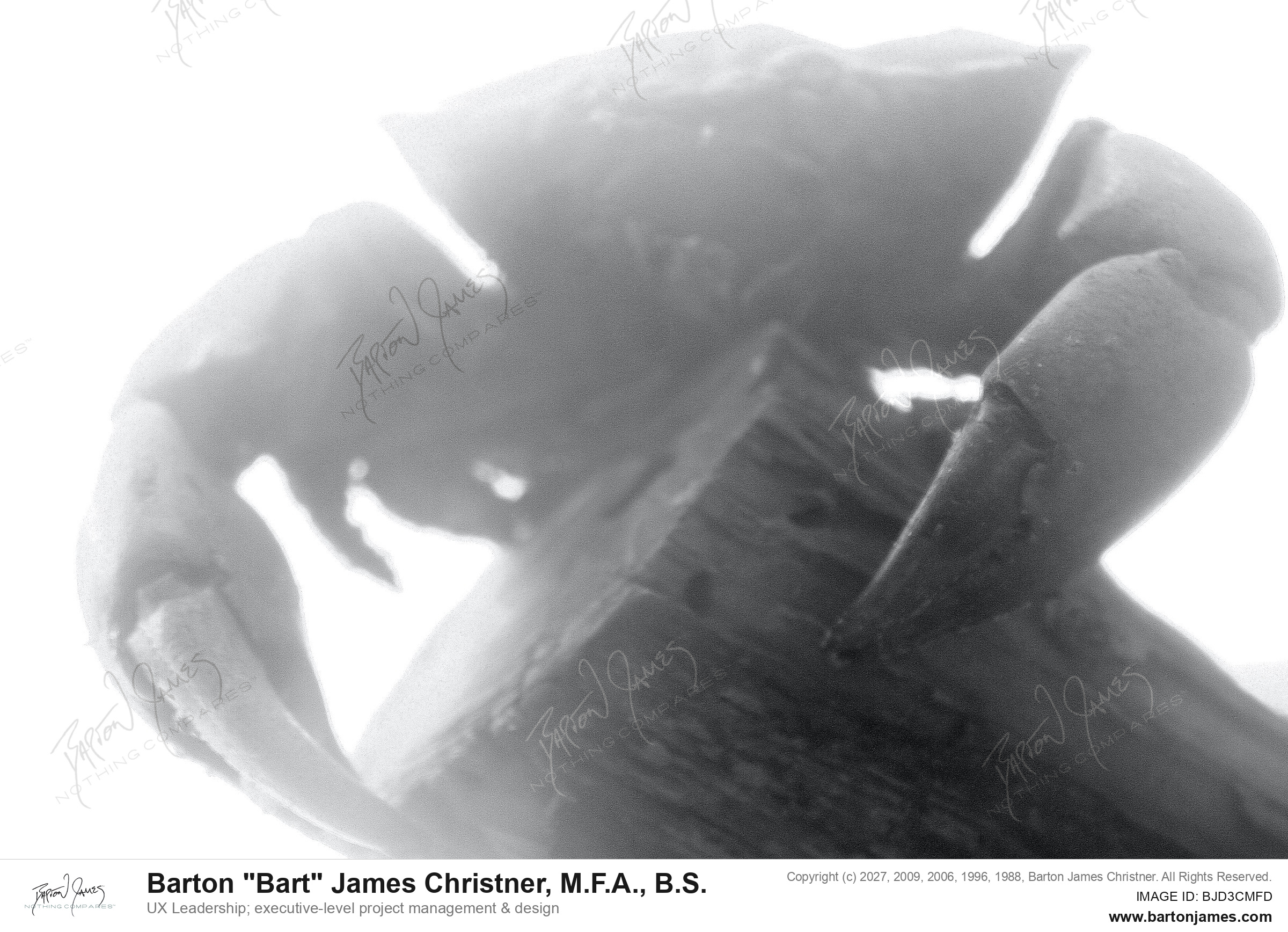 20120729 WILDLIFE Jekyll Island Crab IMG2320bw PHOTO