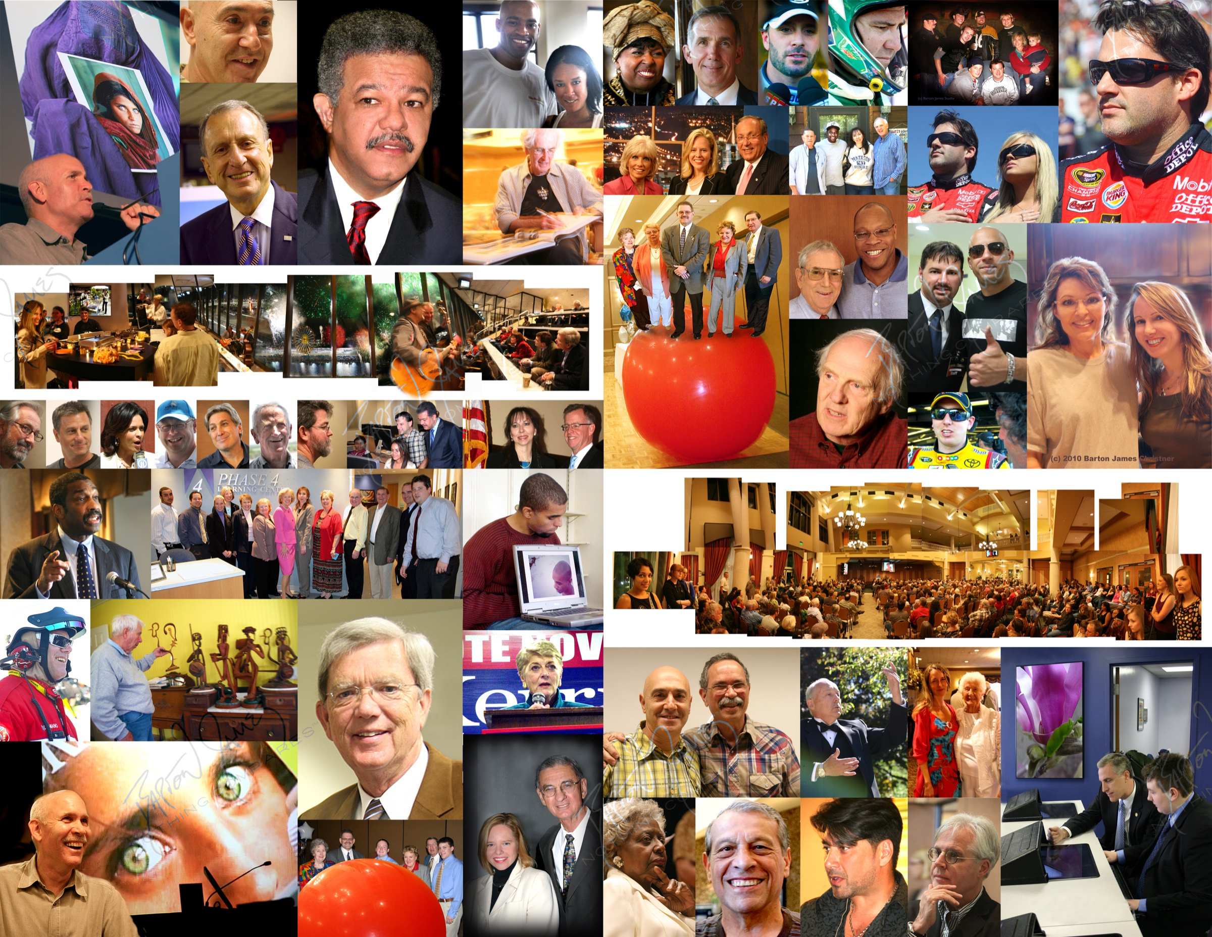 D1 Editorial: a collage of the work in this chapter