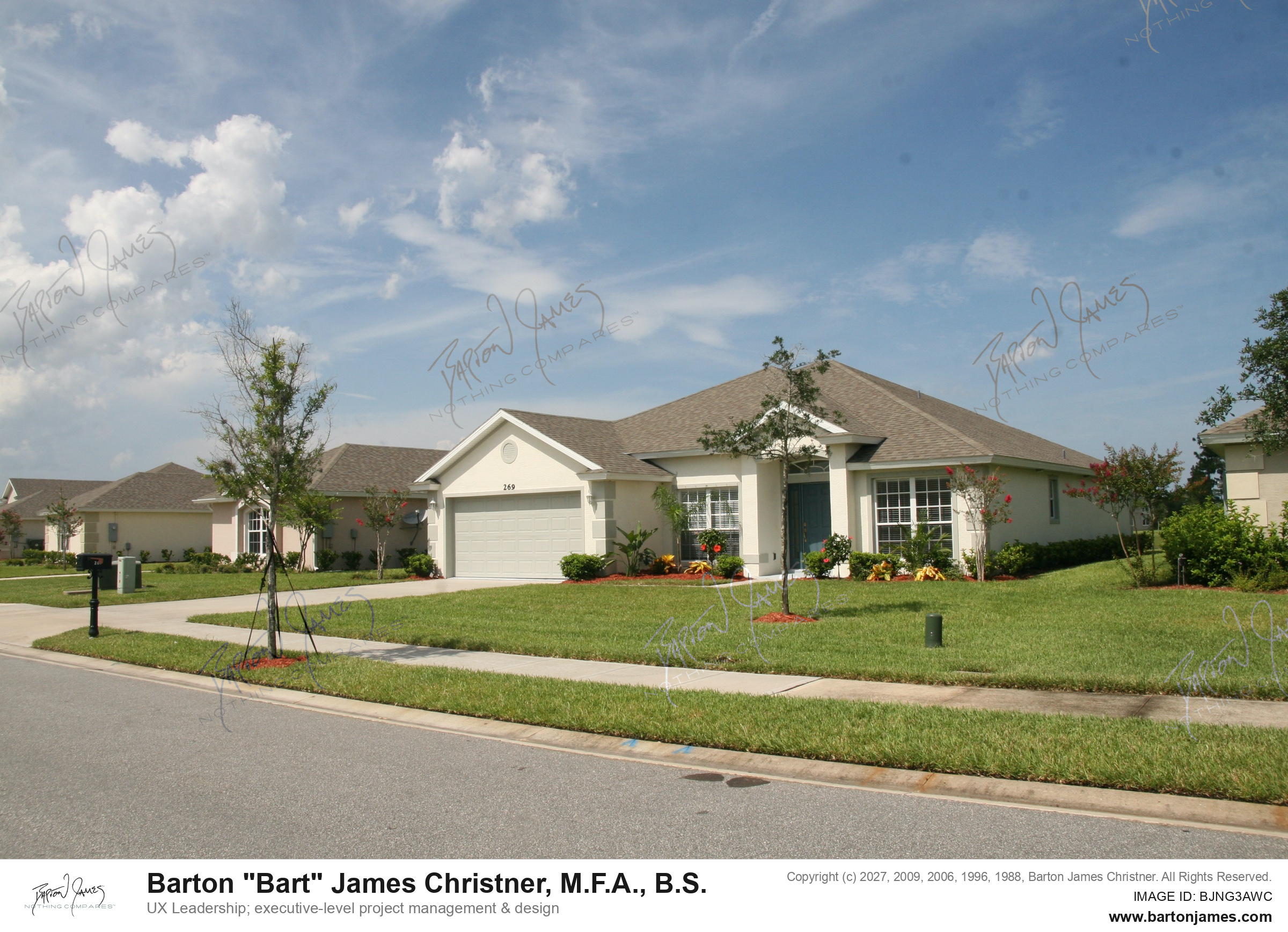 20090719 269Perfect House Shots Large Black Bird PHOTO