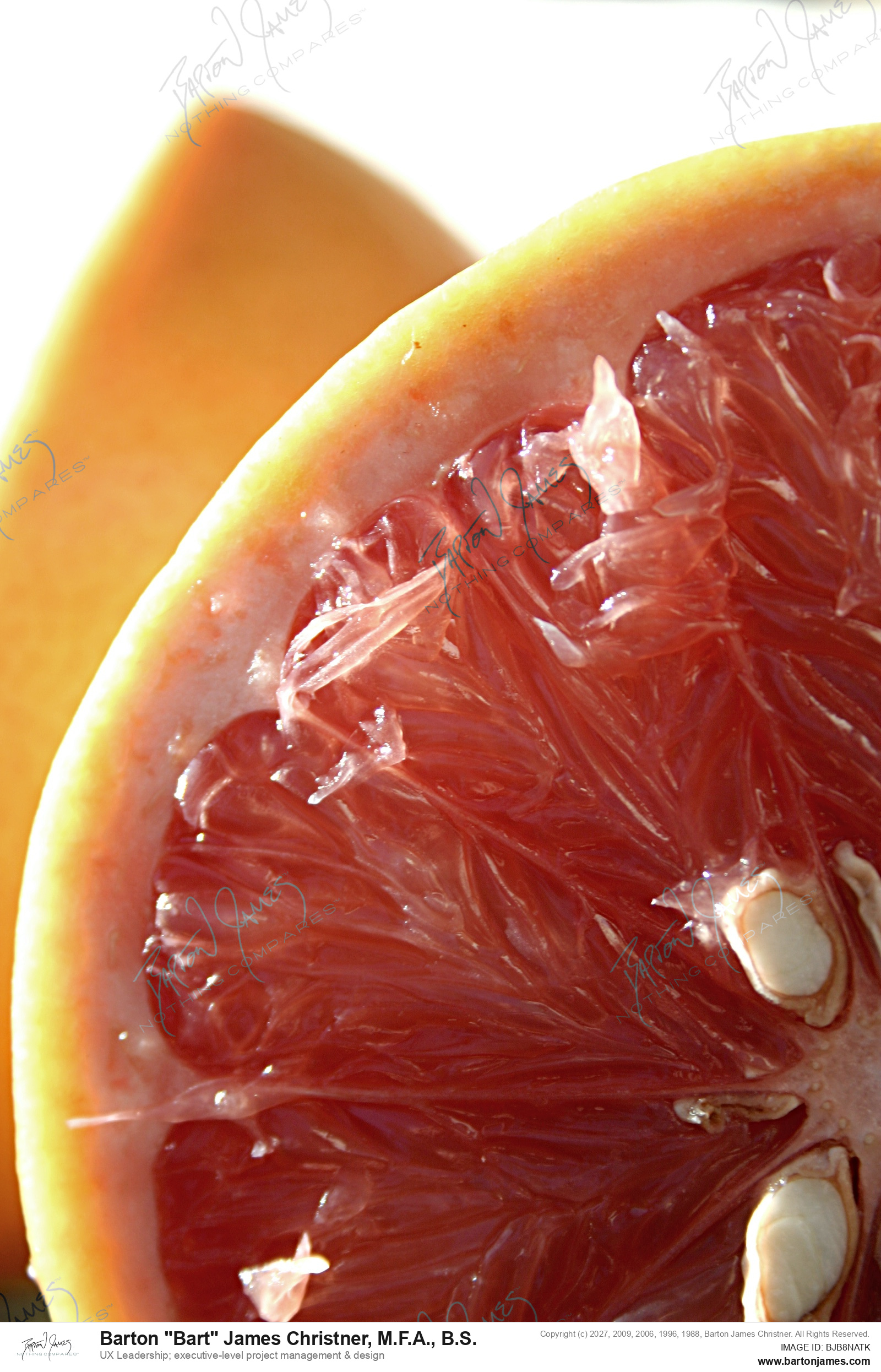 20070901 FINEART GCGrapefruit PHOTO
