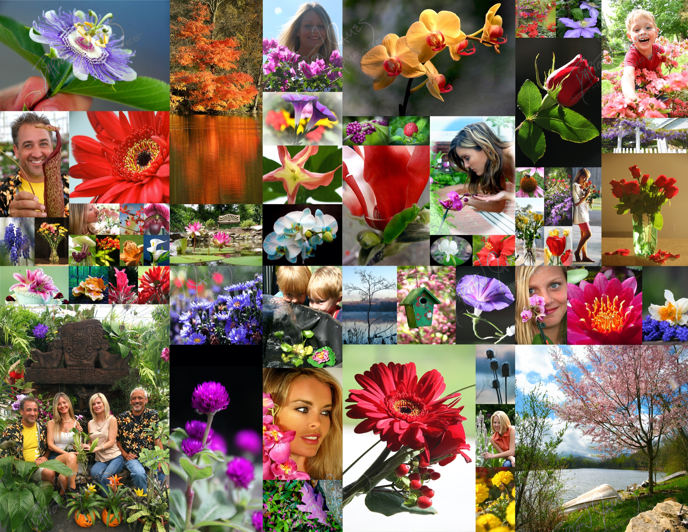 D1 Floral: a collage of the work in this chapter