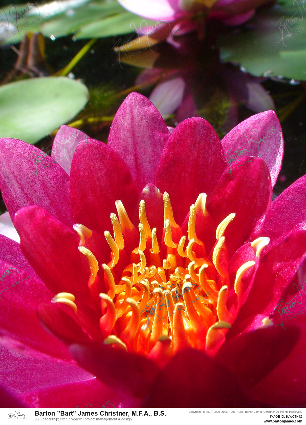 20020706 FLORAL HHPond PHOTO