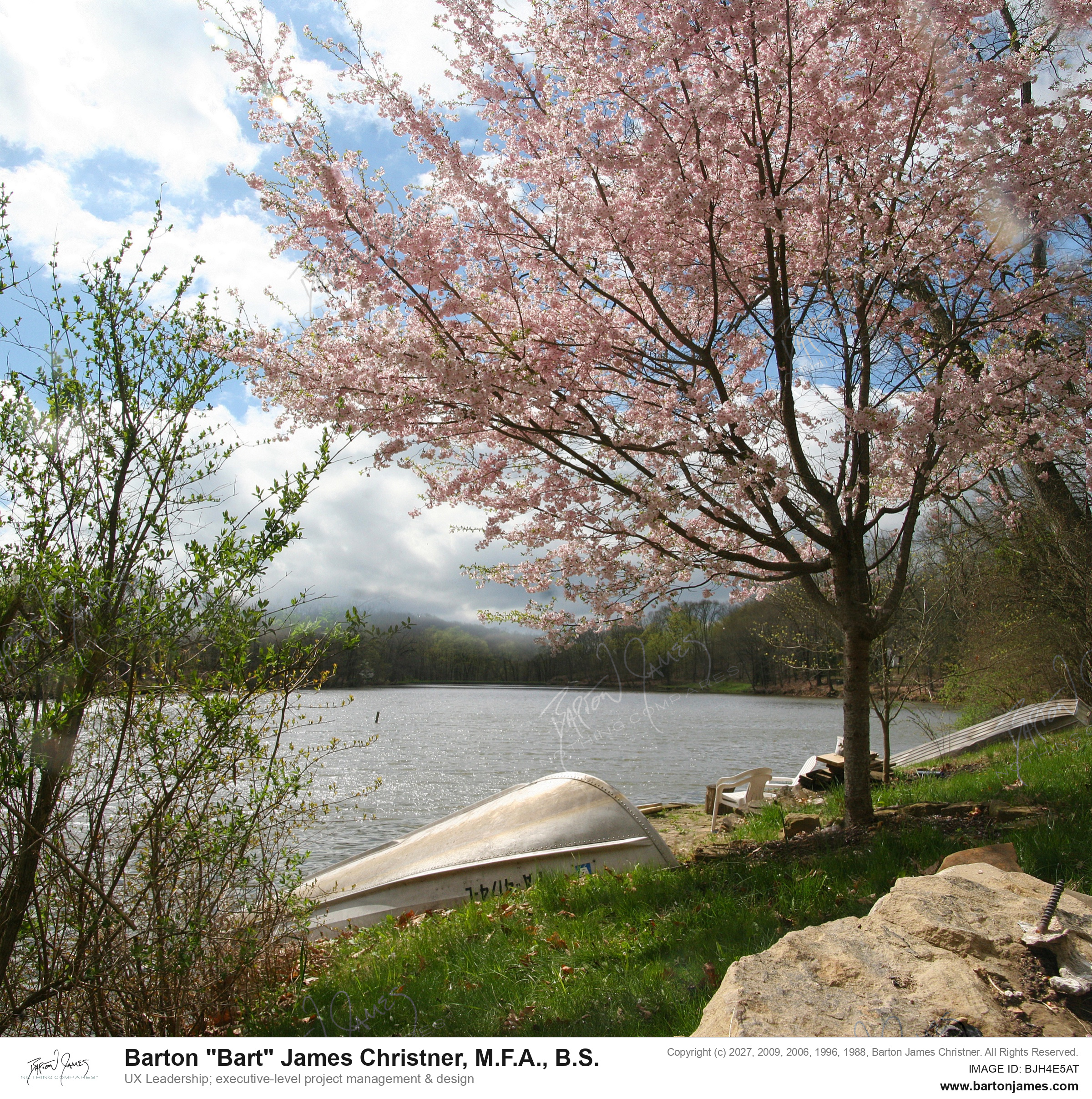 20130420 LANDSCAPE CDACherry Autumn Bloom Johnathans Boat Dock PHOTO
