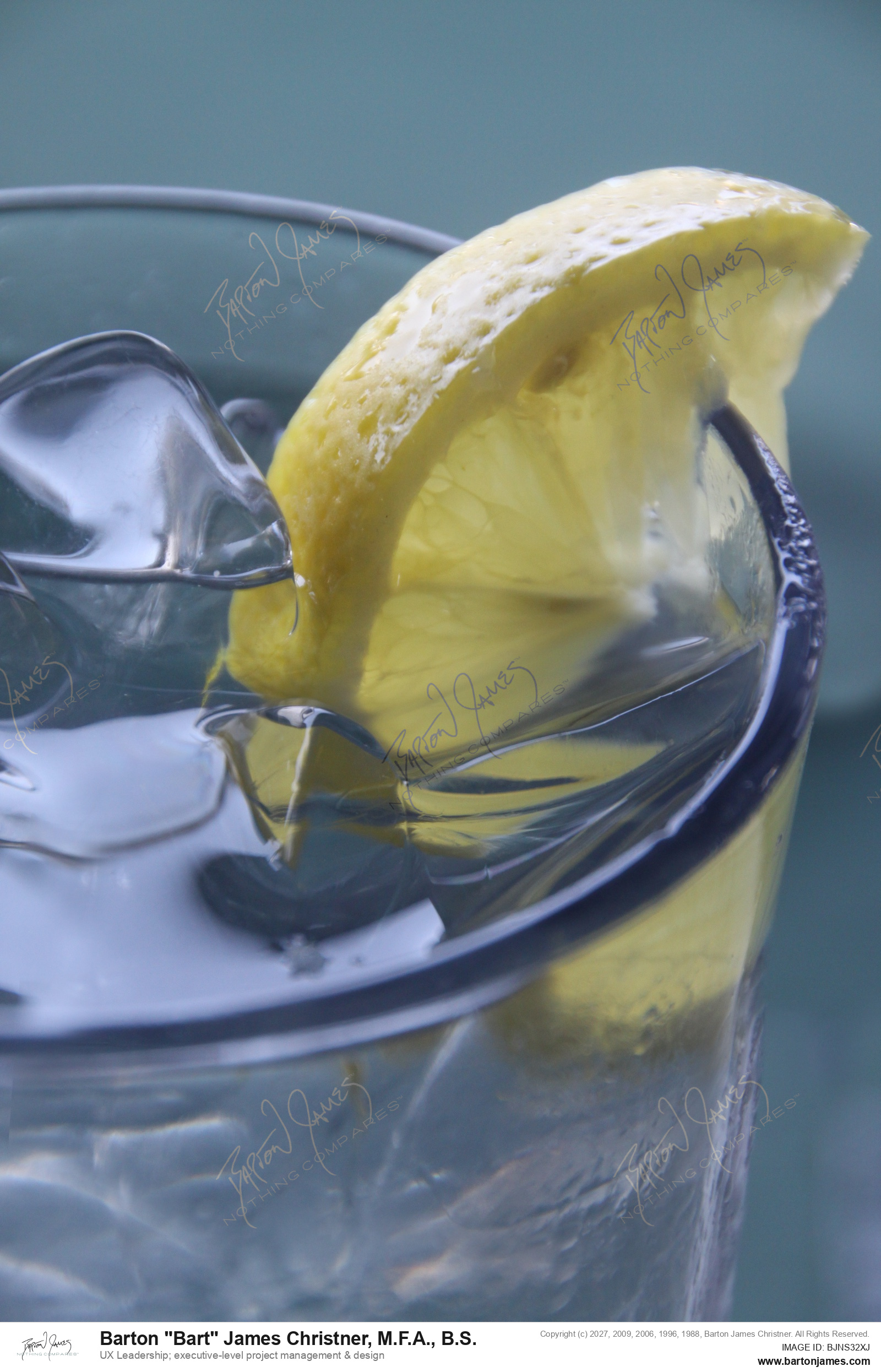 20100522 EVENT New Smyrna Riverview Lemon In Water Glass IMG9914 PHOTO