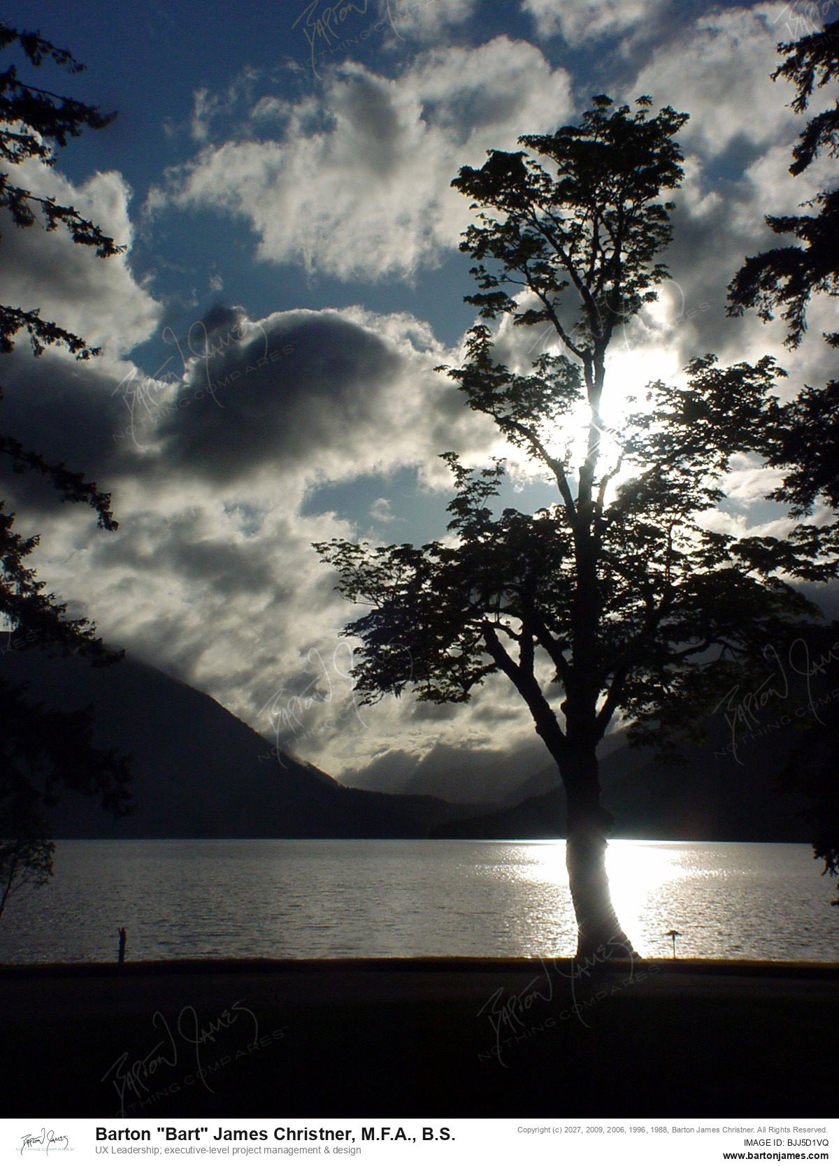 20040508 LANDSCAPE Olympic Lake Crescent Tree Silhouette PHOTO