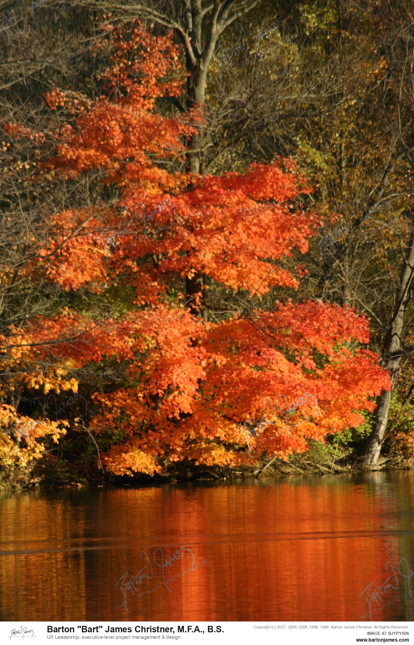 20051029 LANDSCAPE ARTCDAFall Foliage IMG2360 PHOTO