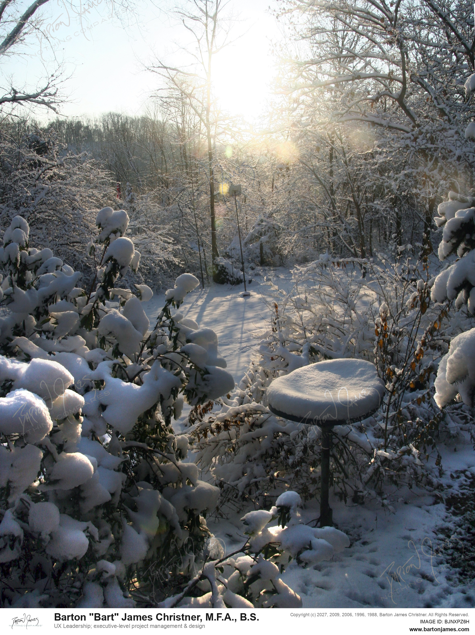 20131129 LANDSCAPE Deerhead Snow Coating Sunshine CDeck View PHOTO