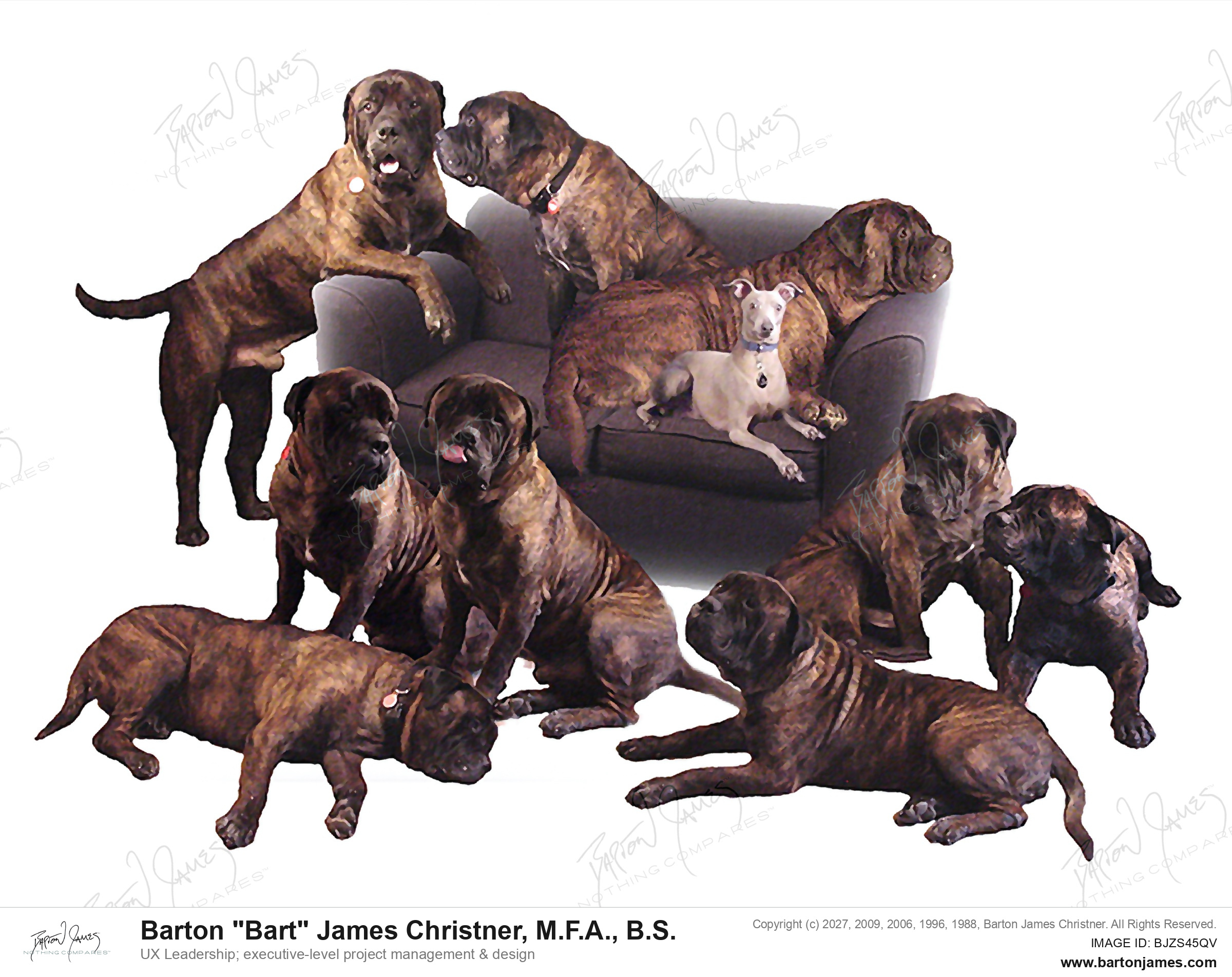 20041111 PET Oscar Roo Zane Spot Other On MESPINCouch adjust FINAL PHOTO
