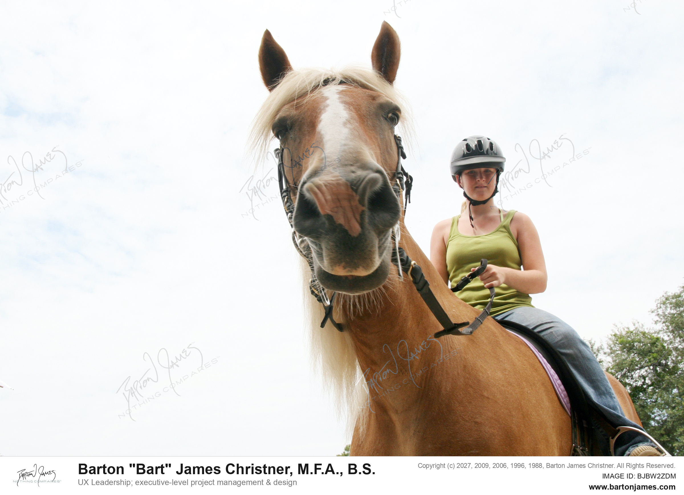 20091017 PET IMG 2844 PHOTO