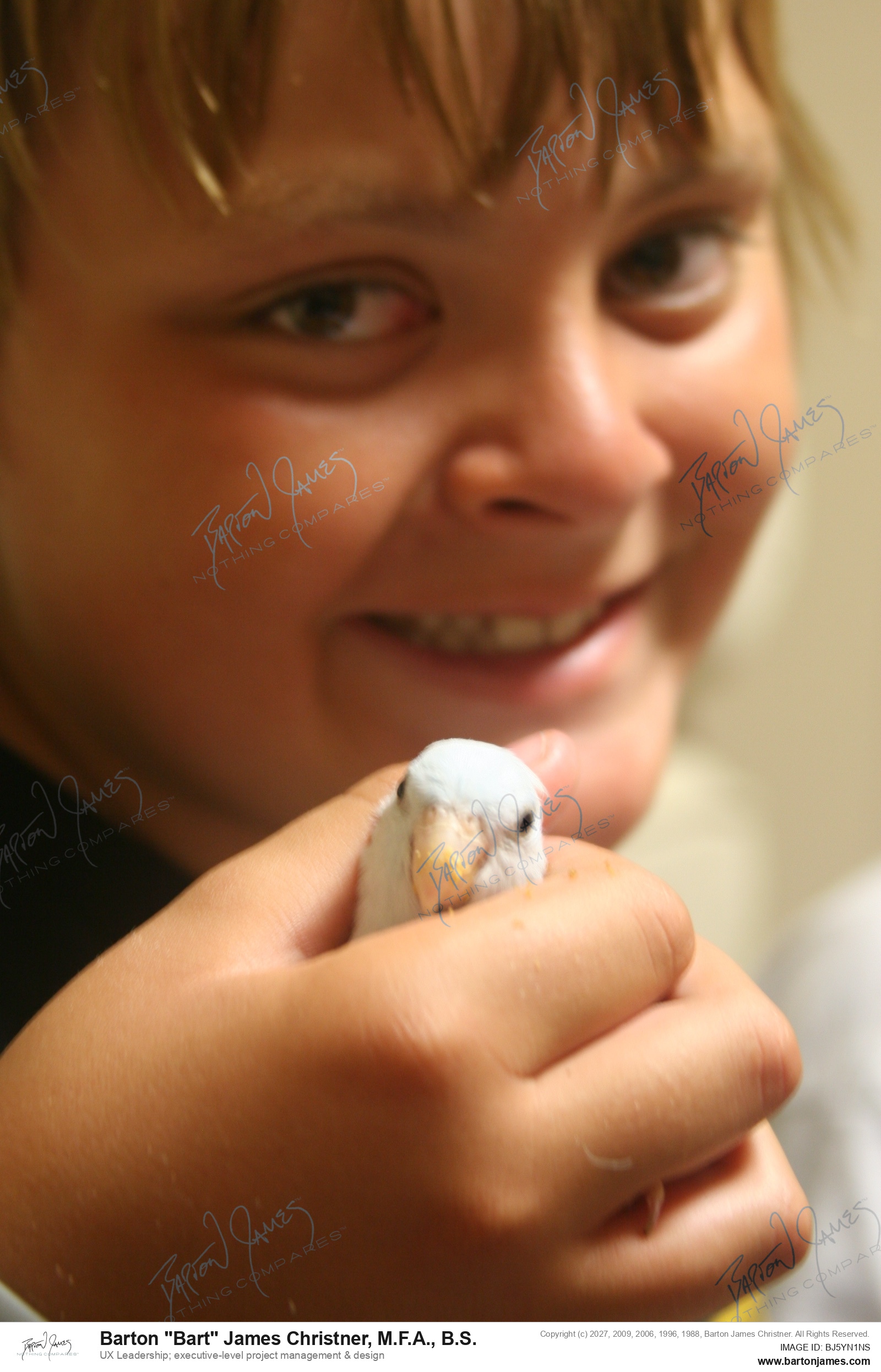 20110625 PET GECBrown Norman Reed Luke Parrotlets IMG5660 PHOTO