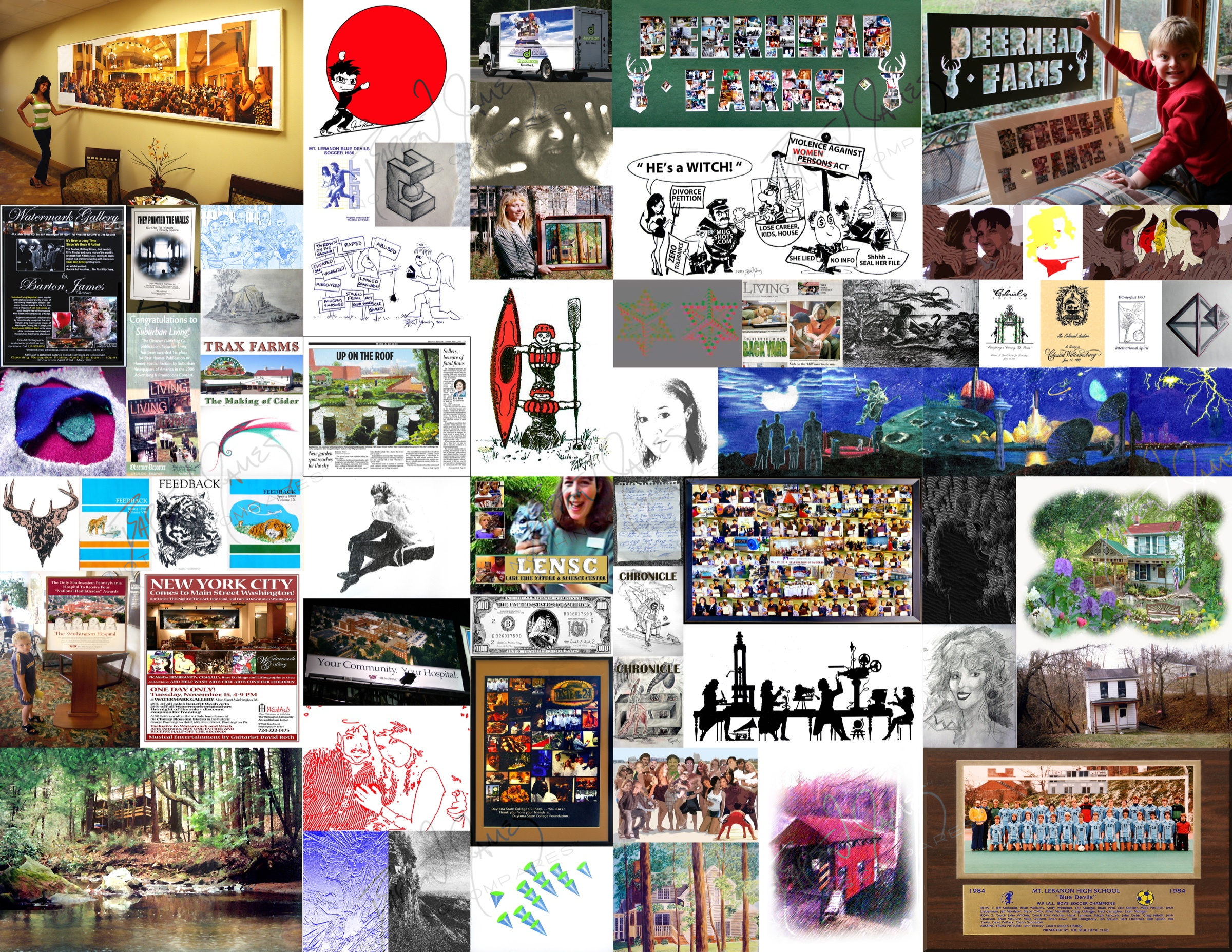 D1 Reproduction: a collage of the work in this chapter
