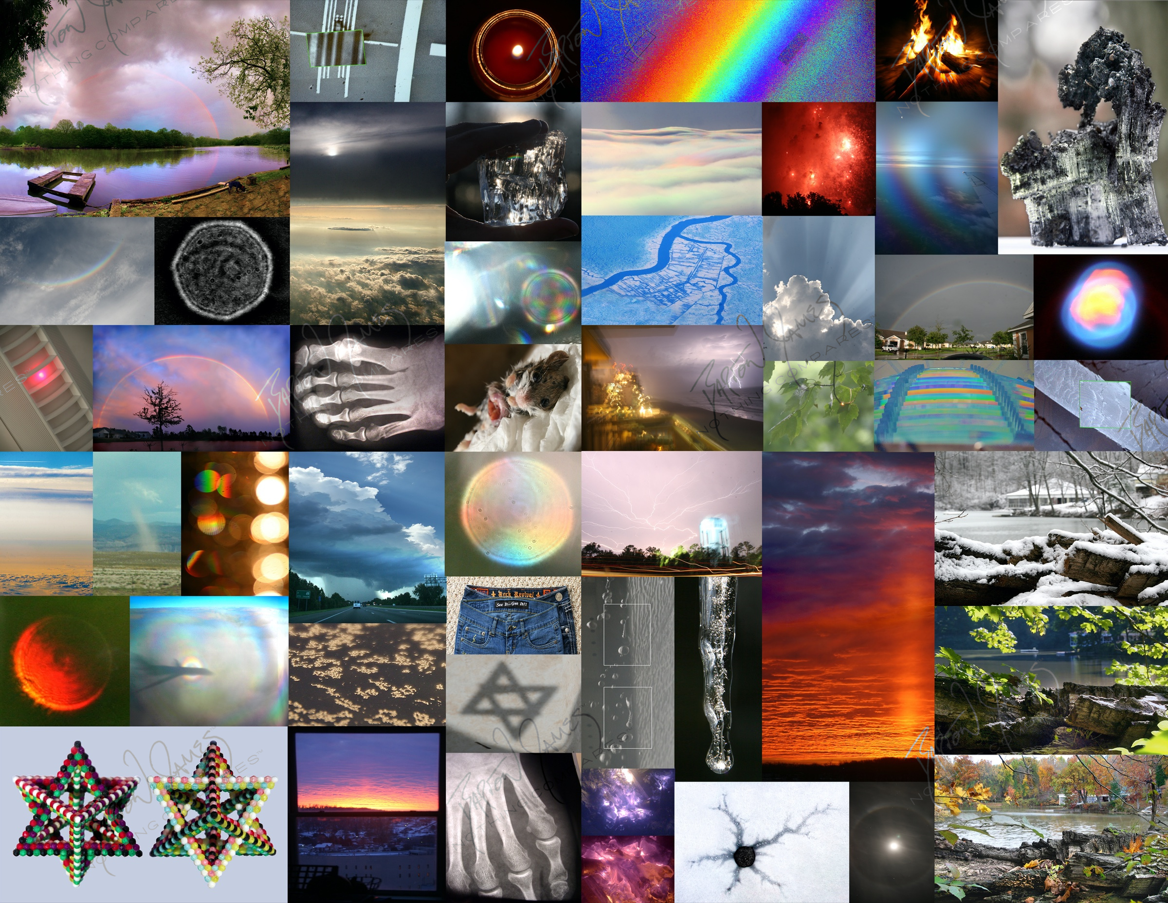D1 Scientific: a collage of the work in this chapter