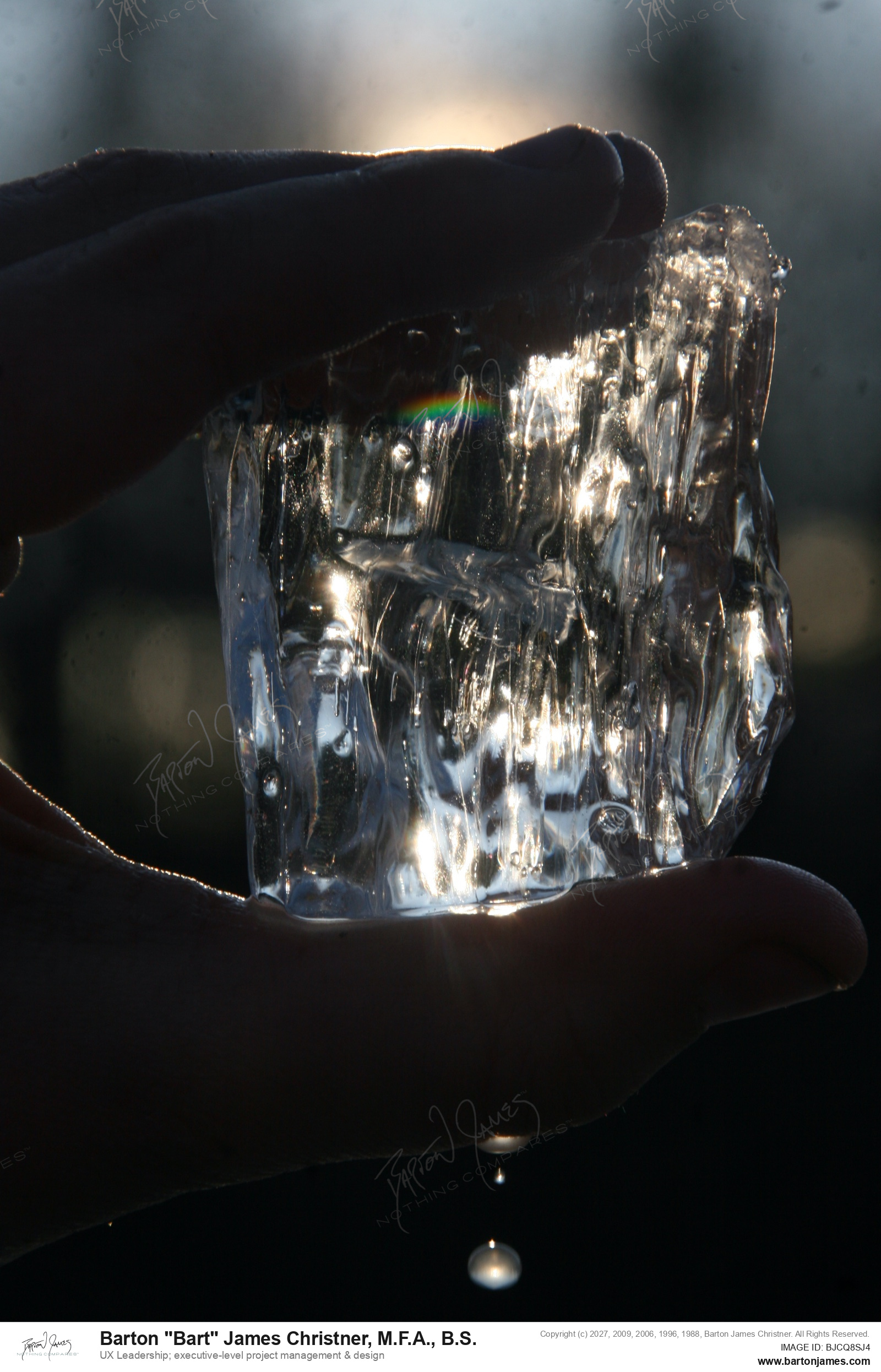 20140112 MACRO CDAIce On Lake Reed Eating Chunks Off Ice cu PHOTOIMG 7856 PHOTO