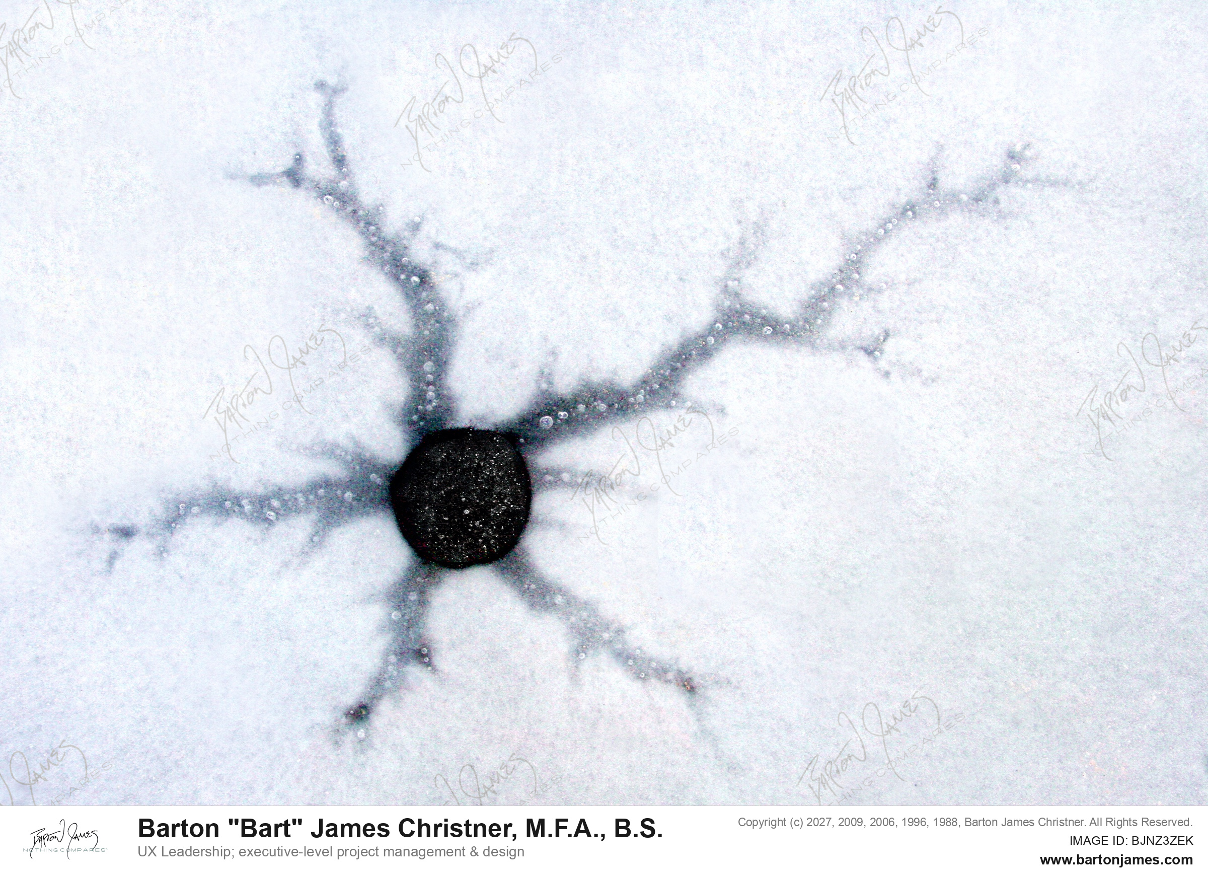 20140909 SCIENTIFIC IMG 7869 PHOTO
