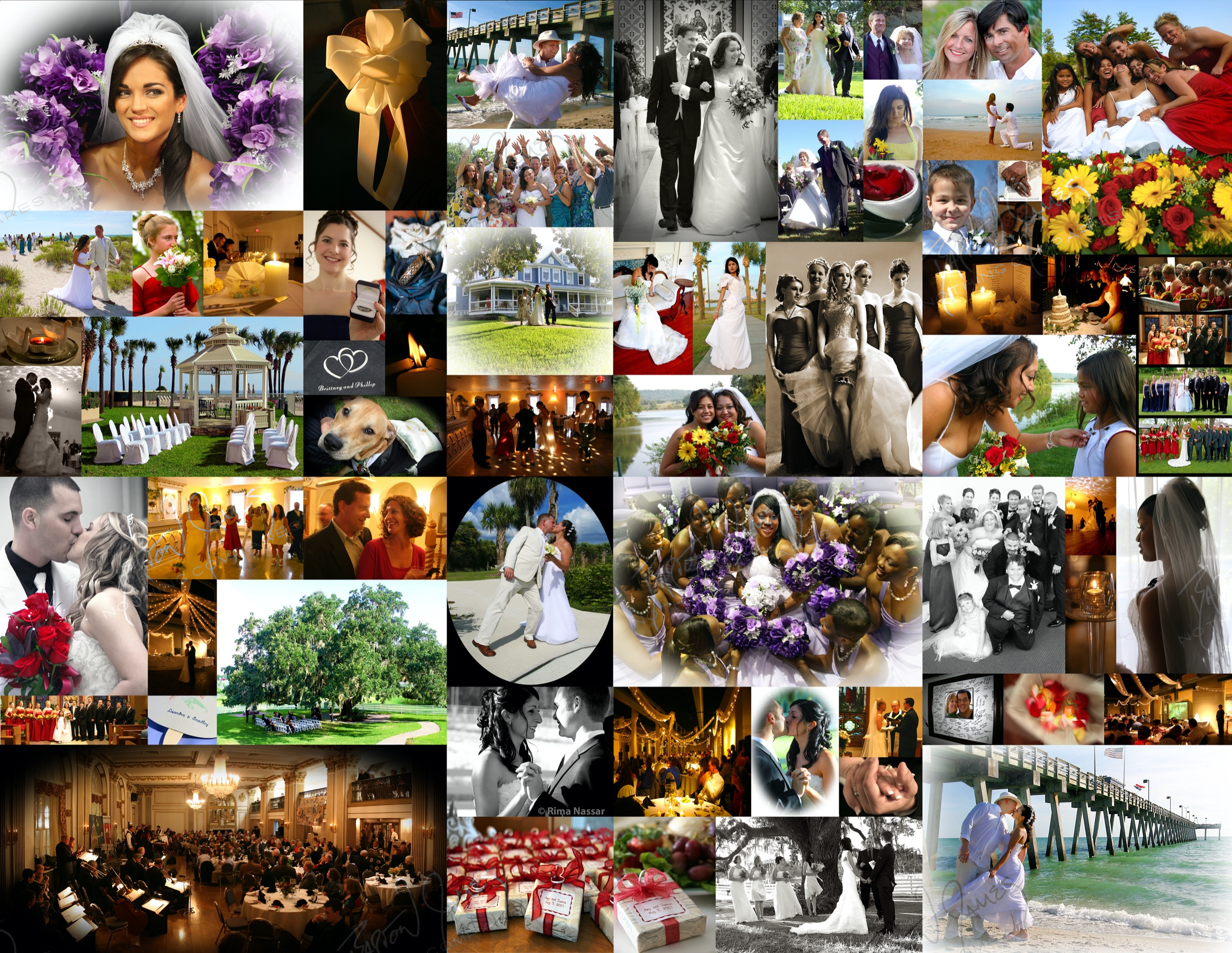D1 Wedding: a collage of the work in this chapter