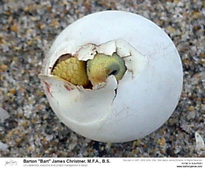 20080321 COVER NJMTCCover Gamble Rogers State Park Flagler PHOTO