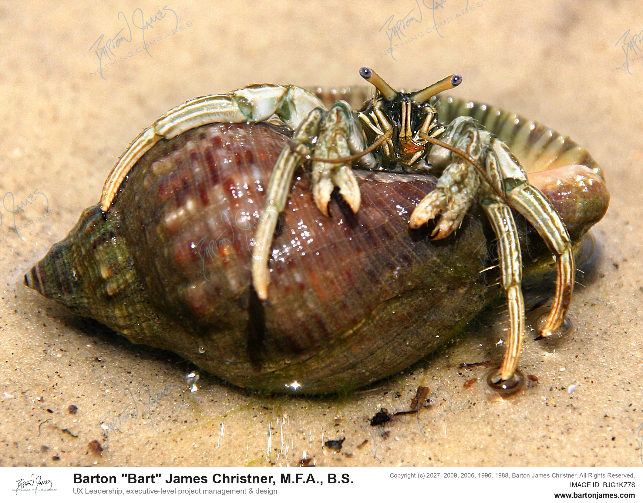 20100129 WILDLIFE IMG 0209 PHOTO