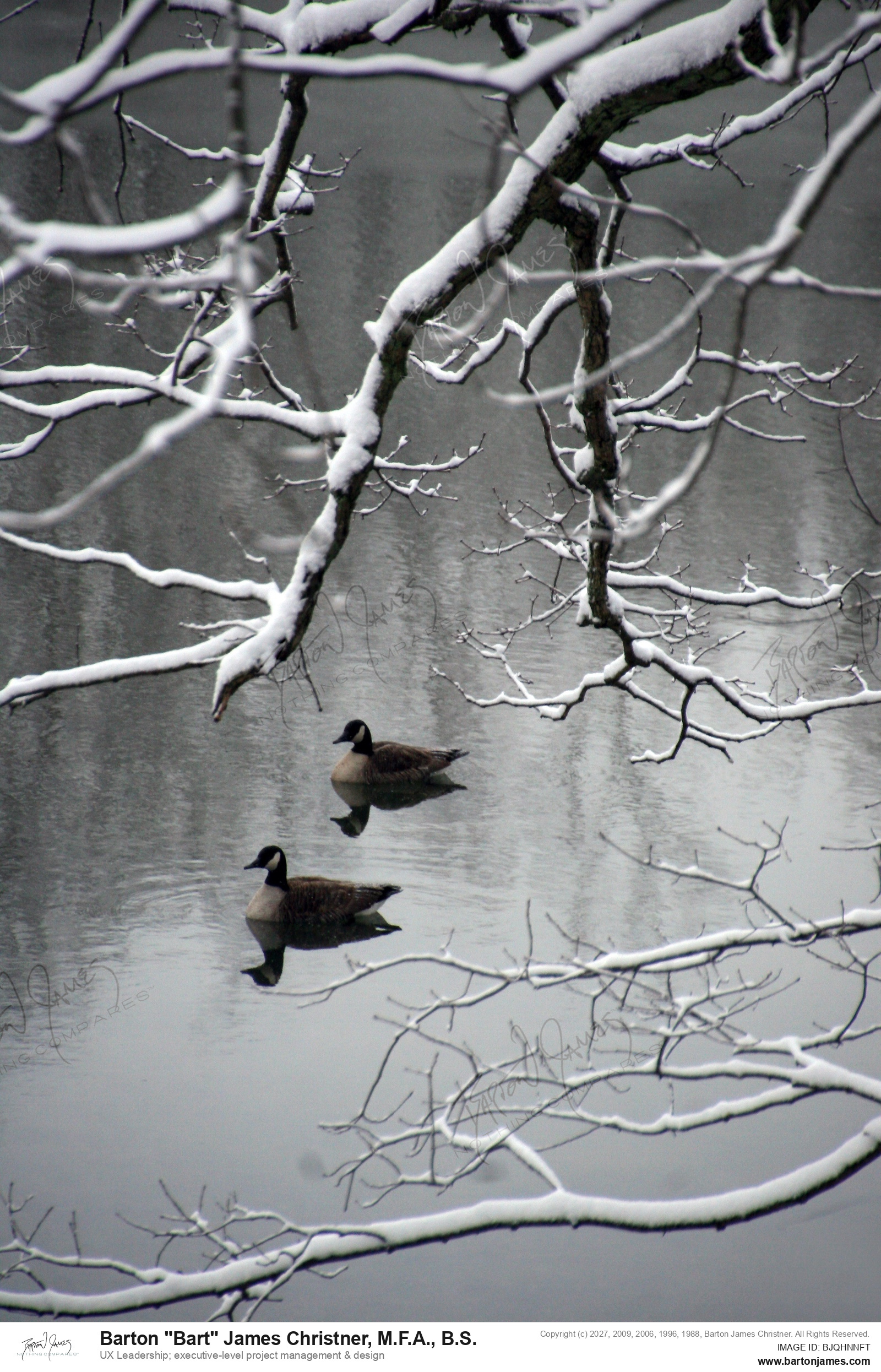 20130306 LANDCAPE CDASnow PHOTO