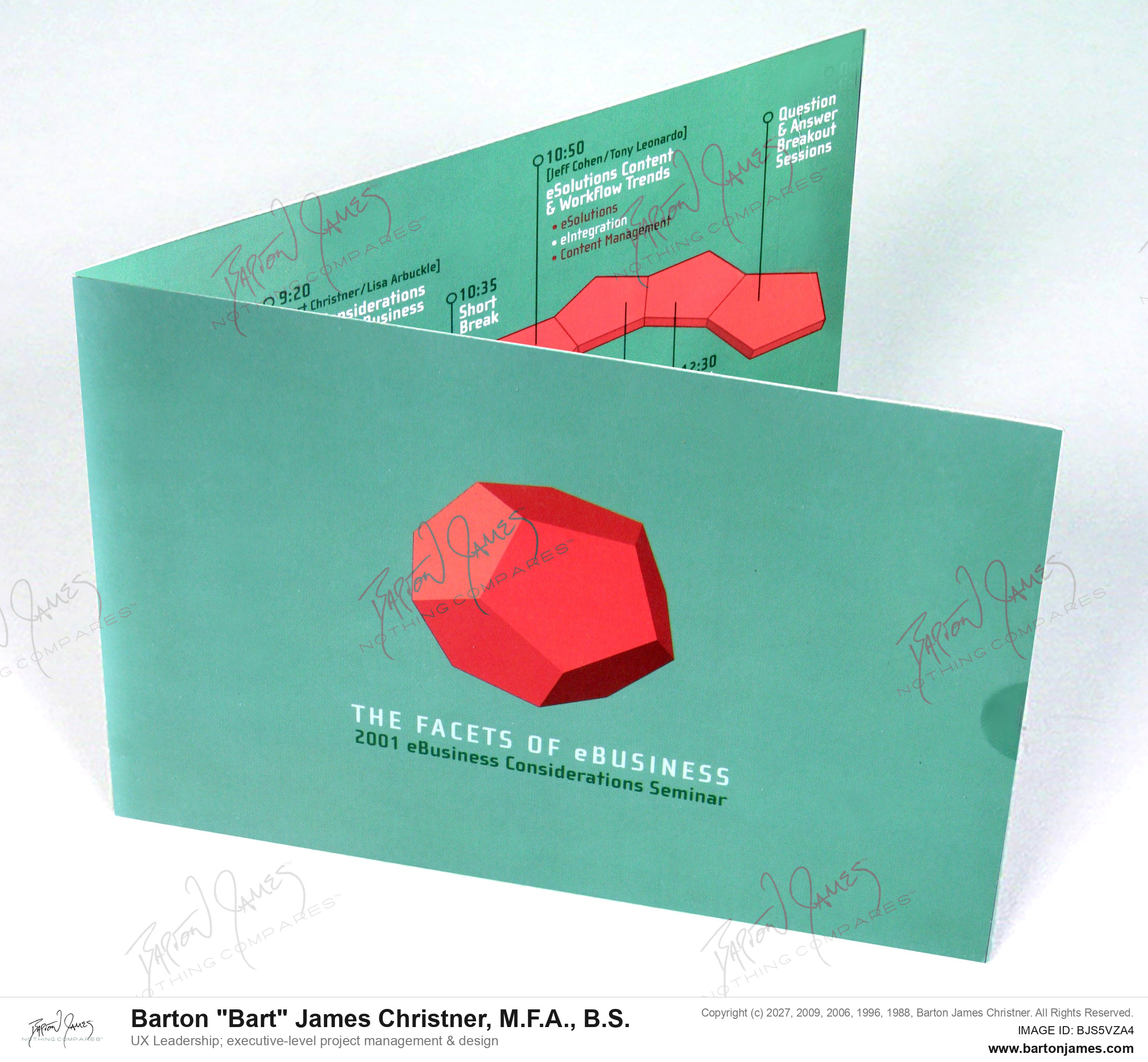 20010315 BB BRUSS Many Facets Mailer COLLATERAL