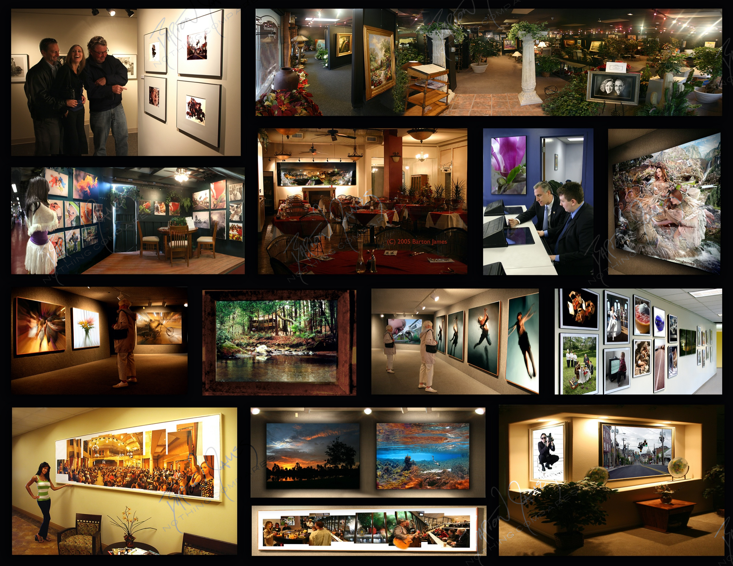 D5 Exhibit: a collage of the work in this chapter