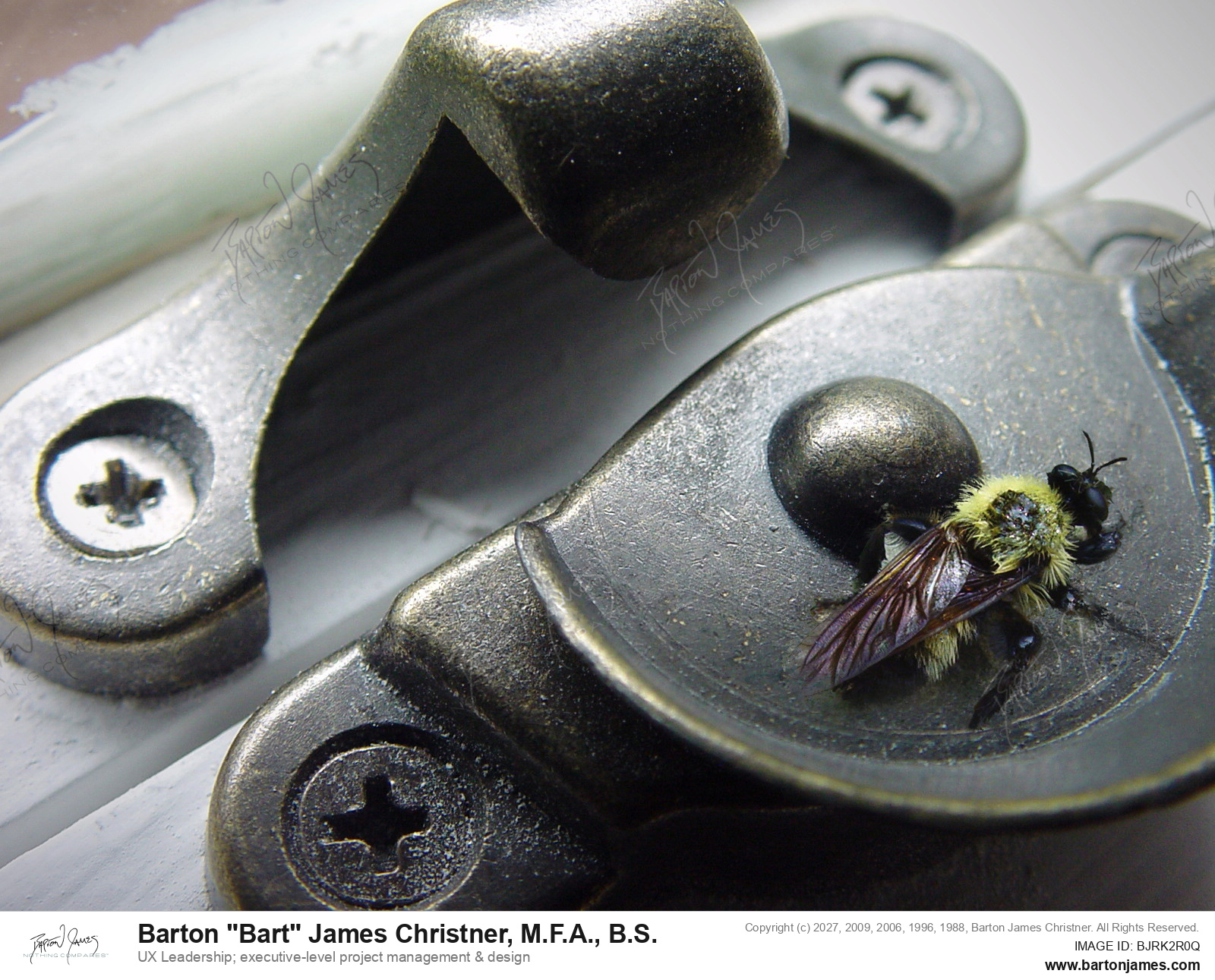 20020925 CHRISTNER Bee On Latch IMAGING