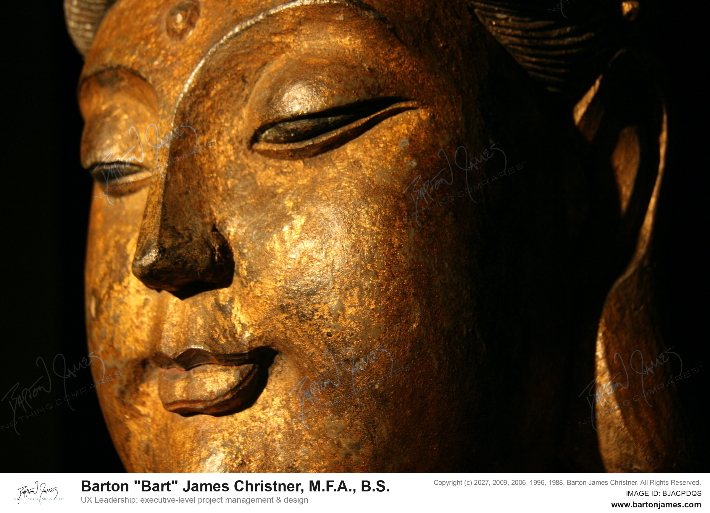 20080325 FERRIER Budda Bust IMAGING