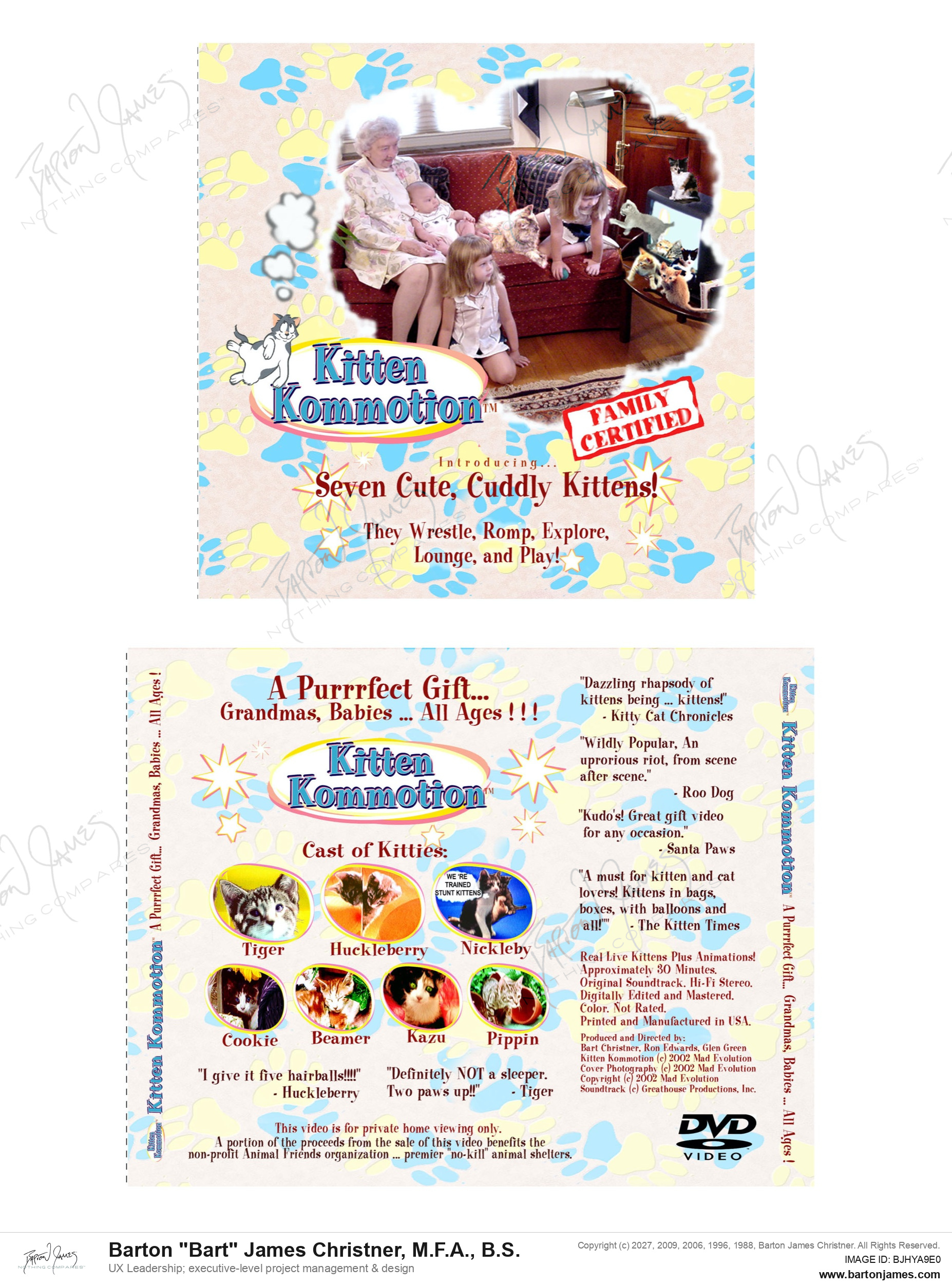 20011115 GREEN Kitten Jewel Insert PACKAGING