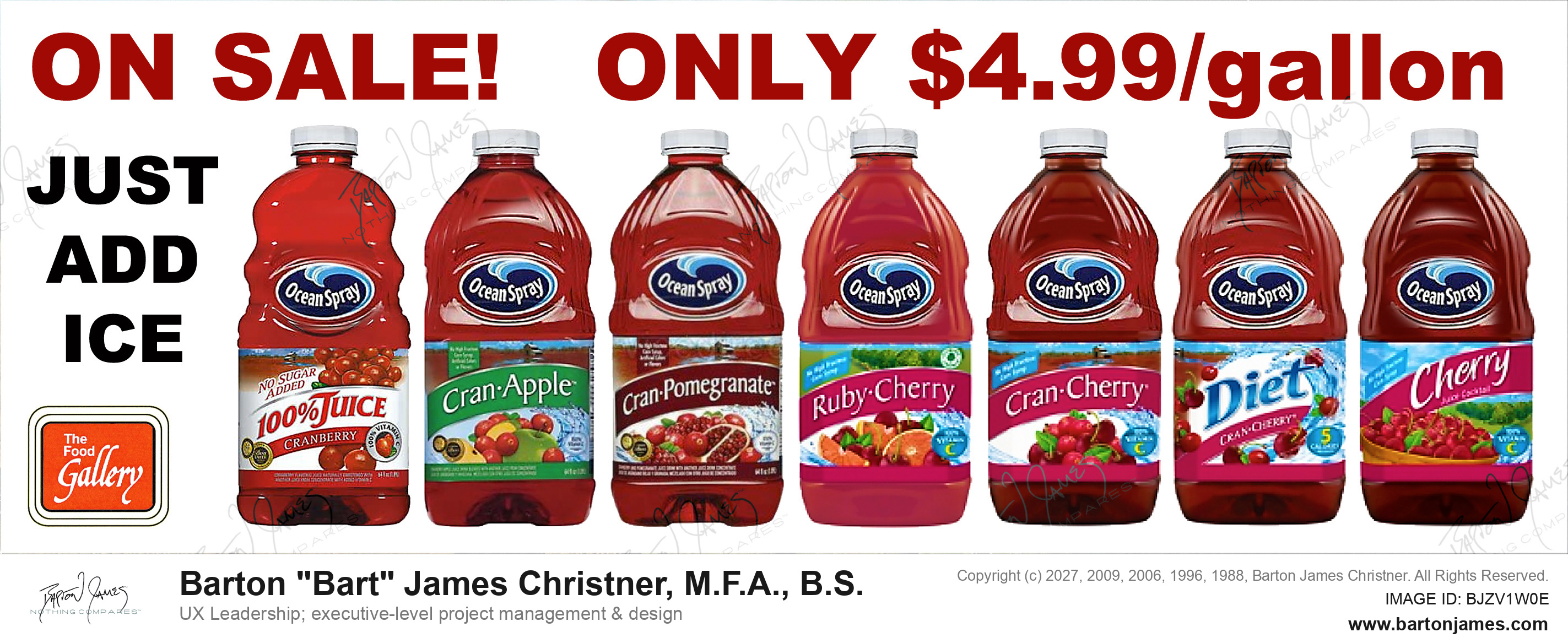 19970303 JOHNSON Ocean Spray Cranberry SHELFTALKER