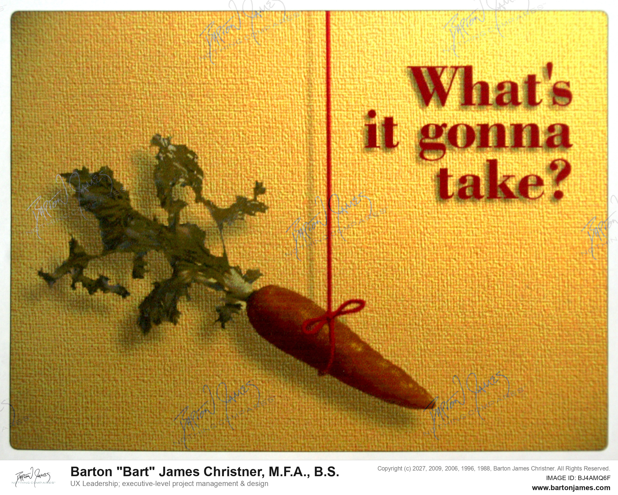 19970205 MORRIS Whats It Take SLIDEDECK